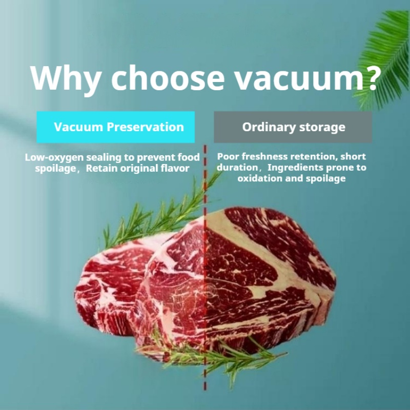 Table Top Chamber Vacuum Seale - Food Vacuum Sealer Machine ulasan dan harga